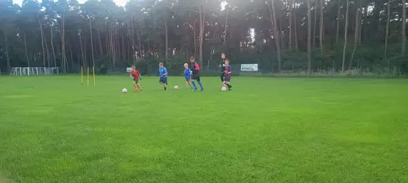 Specjalistyczne treningi bramkarskie w Akademii Sparty Janowiec