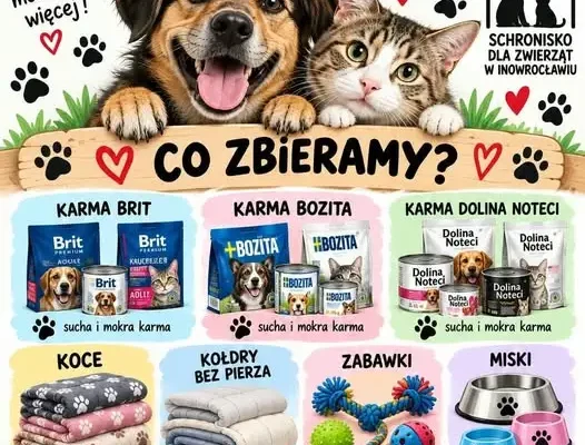 Szkolna zbiórka dla zwierząt ze schroniska w Inowrocławiu